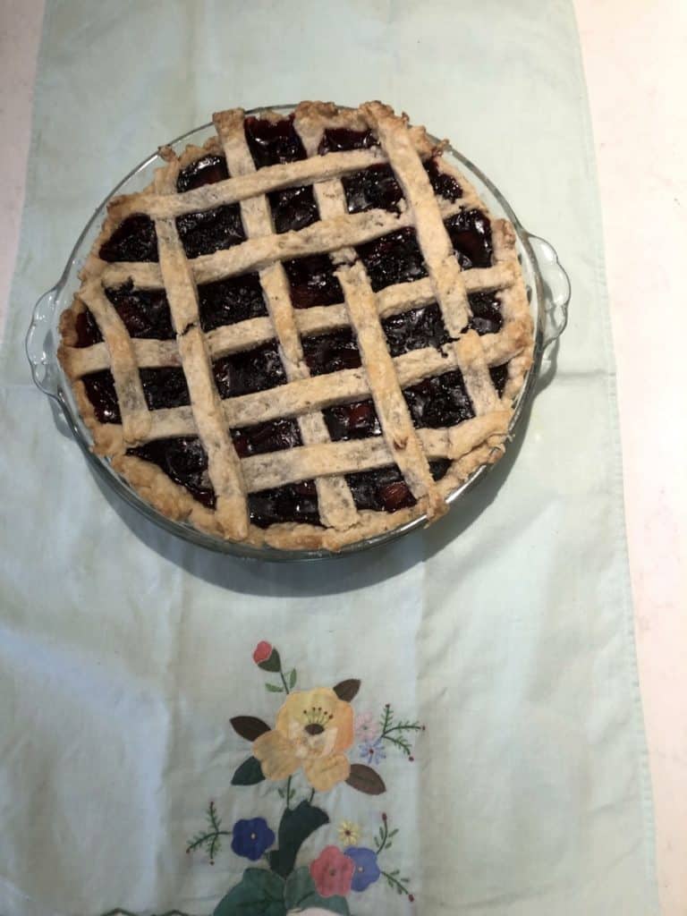 Blueberry Rhubarb Pie
