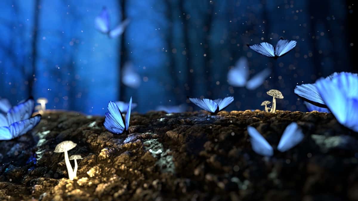 Spring Equinox: The Complete Transformation of The Minds of Man | Almine & Original Ones