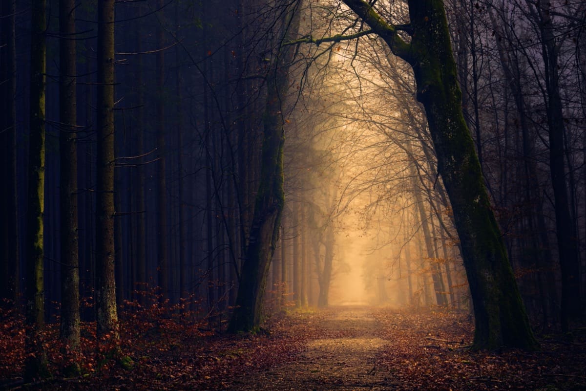 Like a Hollow Echo of the Past | Almine & Original Ones
