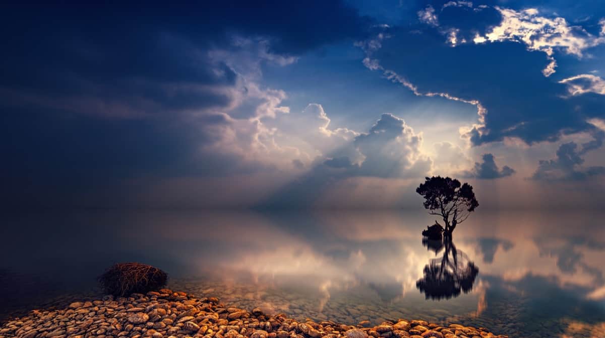 The 18 Principles of Fullness | Almine & Original Ones